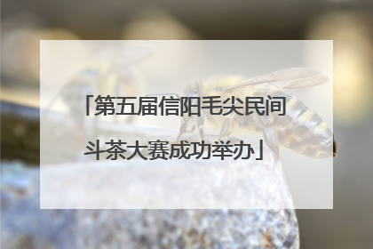 第五届信阳毛尖民间斗茶大赛成功举办