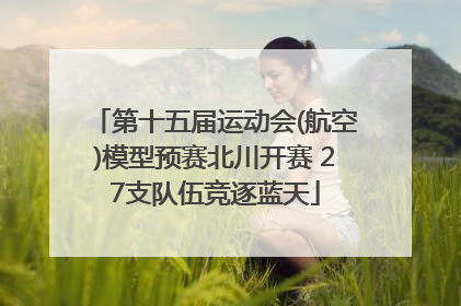 第十五届运动会(航空)模型预赛北川开赛 27支队伍竞逐蓝天