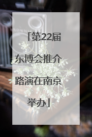 第22届东博会推介路演在南京举办