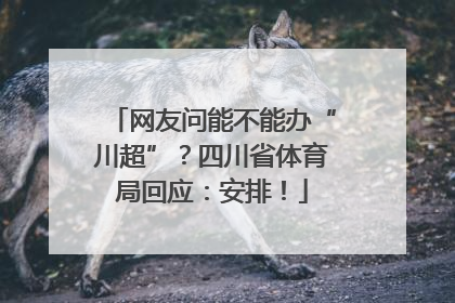网友问能不能办“川超”？四川省体育局回应：安排！
