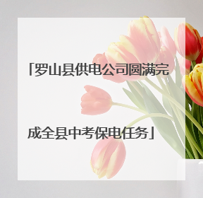 罗山县供电公司圆满完成全县中考保电任务