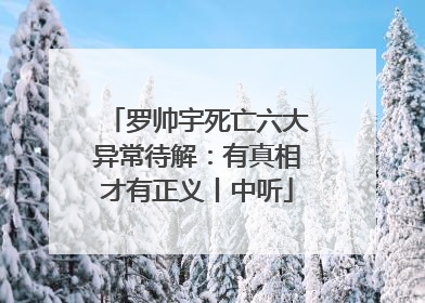 罗帅宇死亡六大异常待解：有真相才有正义丨中听