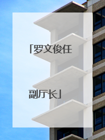 罗文俊任副厅长