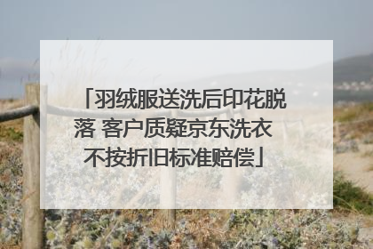 羽绒服送洗后印花脱落 客户质疑京东洗衣不按折旧标准赔偿