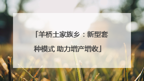 羊桥土家族乡：新型套种模式 助力增产增收