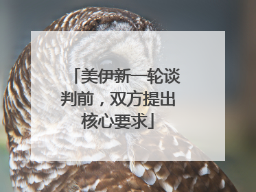 美伊新一轮谈判前，双方提出核心要求
