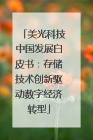 美光科技中国发展白皮书：存储技术创新驱动数字经济转型