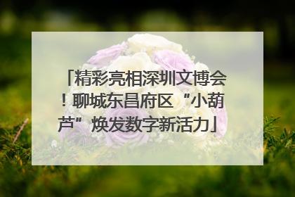 精彩亮相深圳文博会！聊城东昌府区“小葫芦”焕发数字新活力
