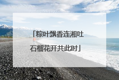粽叶飘香连湘吐 石榴花开共此时