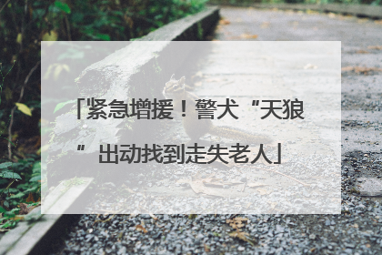 紧急增援！警犬“天狼”出动找到走失老人