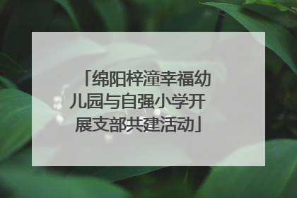 绵阳梓潼幸福幼儿园与自强小学开展支部共建活动