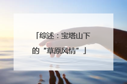 综述：宝塔山下的“草原风情”
