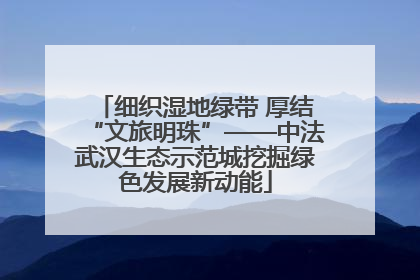 细织湿地绿带 厚结“文旅明珠”——中法武汉生态示范城挖掘绿色发展新动能