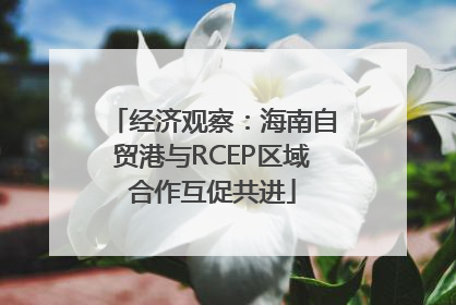 经济观察：海南自贸港与RCEP区域合作互促共进