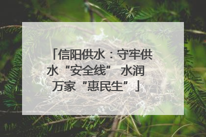 信阳供水：守牢供水“安全线” 水润万家“惠民生”