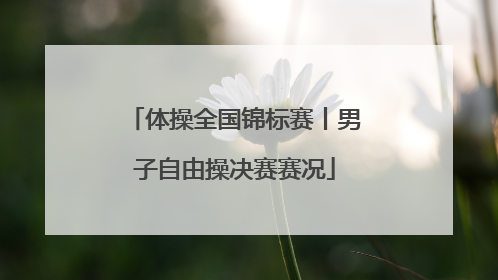体操全国锦标赛丨男子自由操决赛赛况