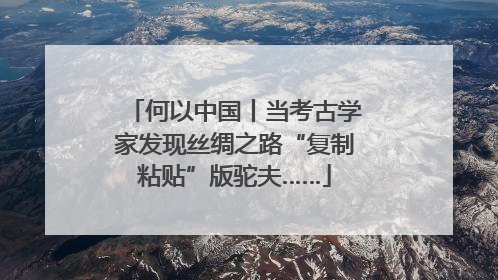 何以中国丨当考古学家发现丝绸之路“复制粘贴”版驼夫……