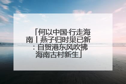 何以中国·行走海南丨燕子归时巢已新：自贸港东风吹拂 海南古村新生