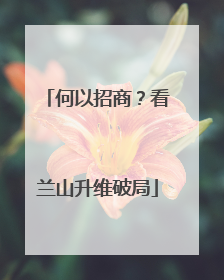 何以招商？看兰山升维破局
