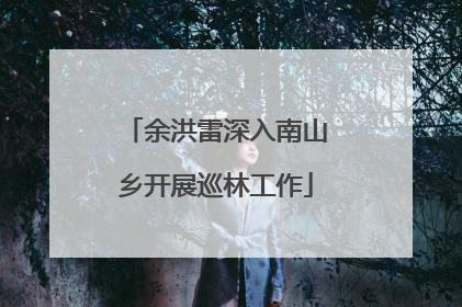 余洪雷深入南山乡开展巡林工作