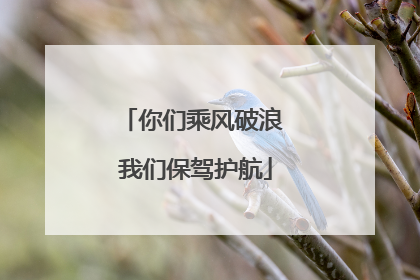 你们乘风破浪 我们保驾护航