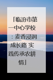 临汾市第一中心学校：麦香浸润成长路 实践传承农耕情