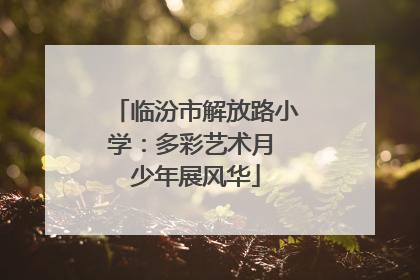 临汾市解放路小学：多彩艺术月 少年展风华