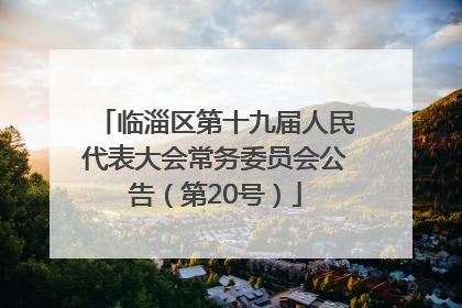 临淄区第十九届人民代表大会常务委员会公告（第20号）