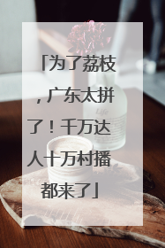 为了荔枝，广东太拼了！千万达人十万村播都来了