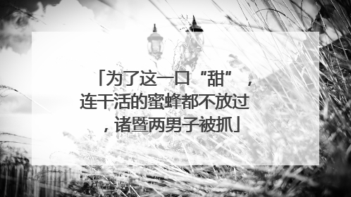 为了这一口“甜”，连干活的蜜蜂都不放过，诸暨两男子被抓