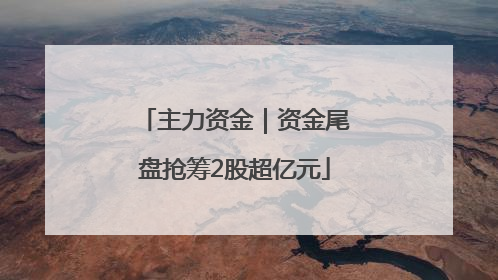 主力资金｜资金尾盘抢筹2股超亿元