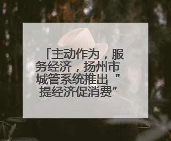 主动作为，服务经济，扬州市城管系统推出“提经济促消费”十项措施