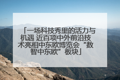 一场科技秀里的活力与机遇 近百项中外前沿技术亮相中东欧博览会“数智中东欧”板块