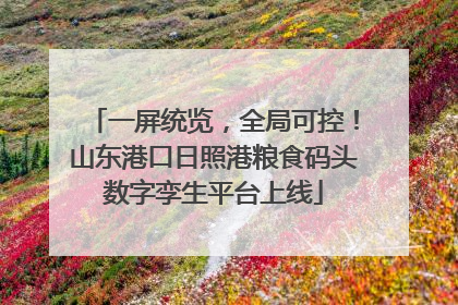 一屏统览，全局可控！山东港口日照港粮食码头数字孪生平台上线