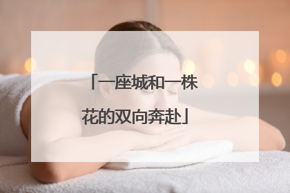 一座城和一株花的双向奔赴