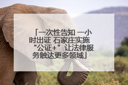 一次性告知 一小时出证 石家庄实施“公证+”让法律服务触达更多领域