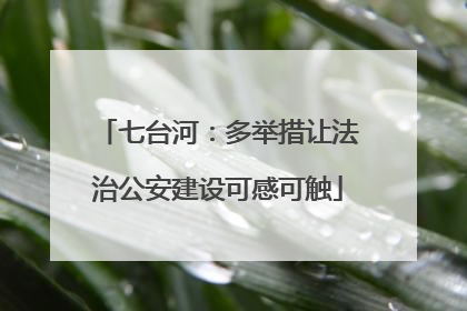 七台河：多举措让法治公安建设可感可触