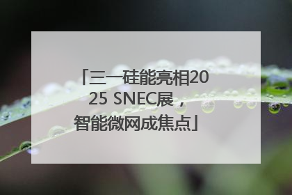 三一硅能亮相2025 SNEC展，智能微网成焦点