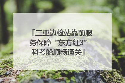 三亚边检站靠前服务保障“东方红3”科考船顺畅通关