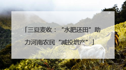 三夏麦收：“水肥还田”助力河南农民“减投增产”