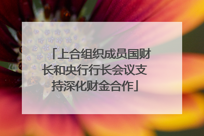 上合组织成员国财长和央行行长会议支持深化财金合作