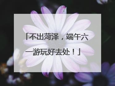 不出菏泽，端午六一游玩好去处！