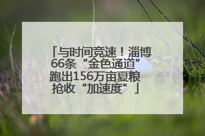 与时间竞速！淄博66条“金色通道”跑出156万亩夏粮抢收“加速度”
