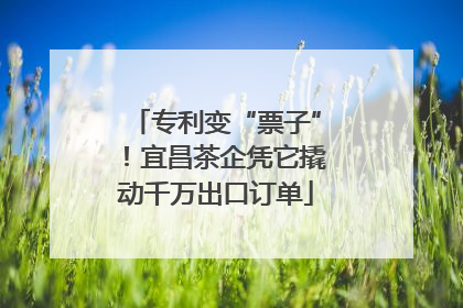 专利变“票子”！宜昌茶企凭它撬动千万出口订单