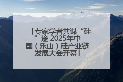 专家学者共谋“硅”途 2025年中国（乐山）硅产业链发展大会开幕
