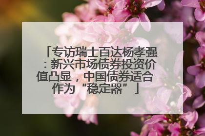 专访瑞士百达杨孝强：新兴市场债券投资价值凸显，中国债券适合作为“稳定器”