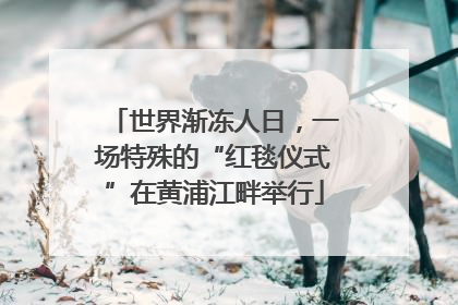 世界渐冻人日，一场特殊的“红毯仪式”在黄浦江畔举行