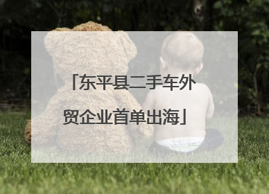 东平县二手车外贸企业首单出海