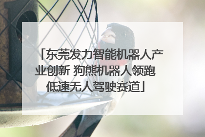 东莞发力智能机器人产业创新 狗熊机器人领跑低速无人驾驶赛道
