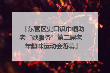 东营区史口镇巾帼助老“她服务”第二届老年趣味运动会落幕
